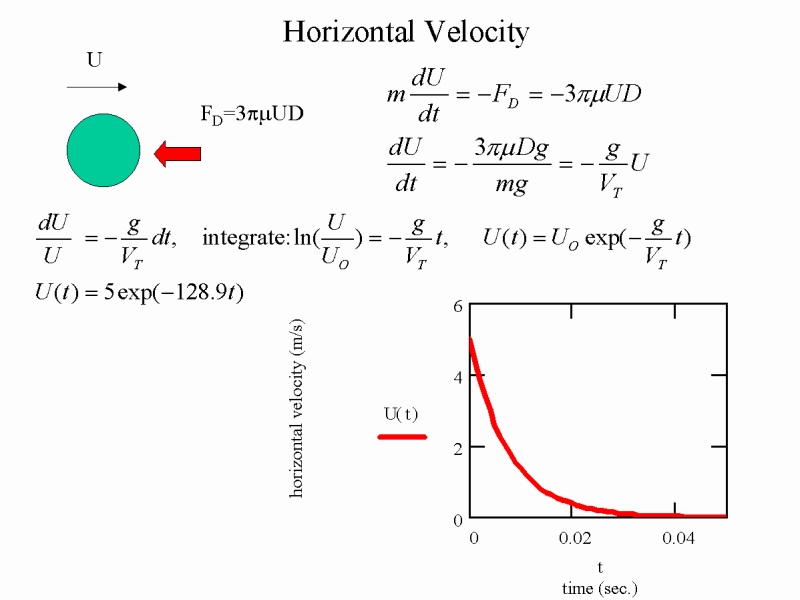 Horizontal Velocity