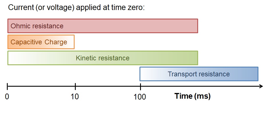 Reaction kinetics important for rapid battery charging.