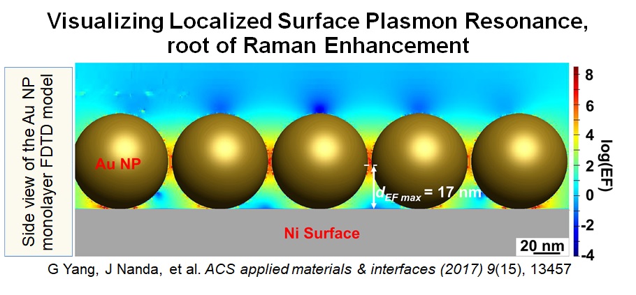Simulation of Surface-Enhanced Raman Spectroscopy (SERS) Enhancement