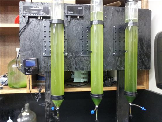 The bench top airlift photobioreactor system as given to Team 11