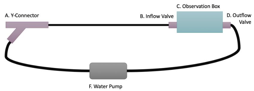 Water System